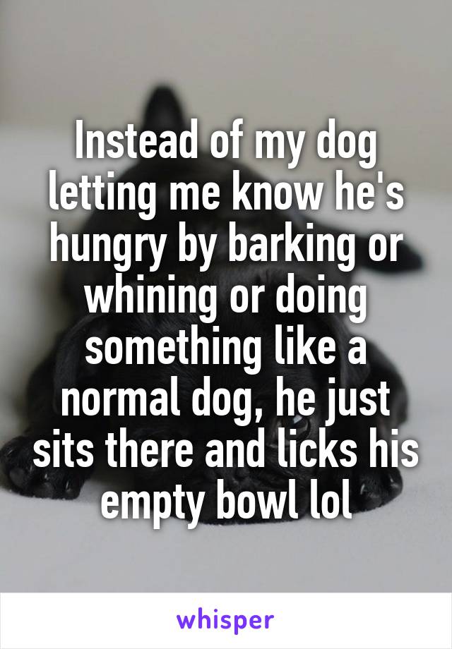 Instead of my dog letting me know he's hungry by barking or whining or doing something like a normal dog, he just sits there and licks his empty bowl lol