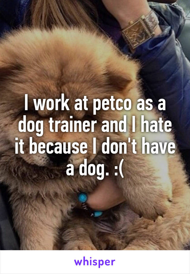 I work at petco as a dog trainer and I hate it because I don't have a dog. :(