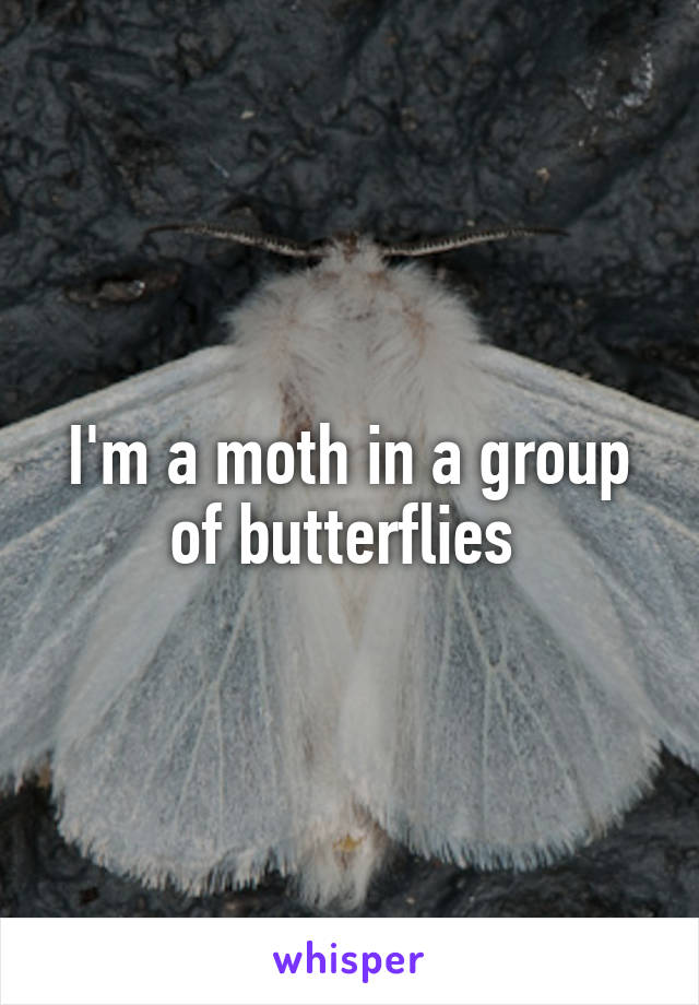 I'm a moth in a group of butterflies 