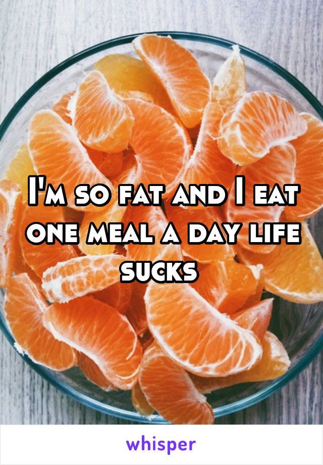 I'm so fat and I eat one meal a day life sucks 