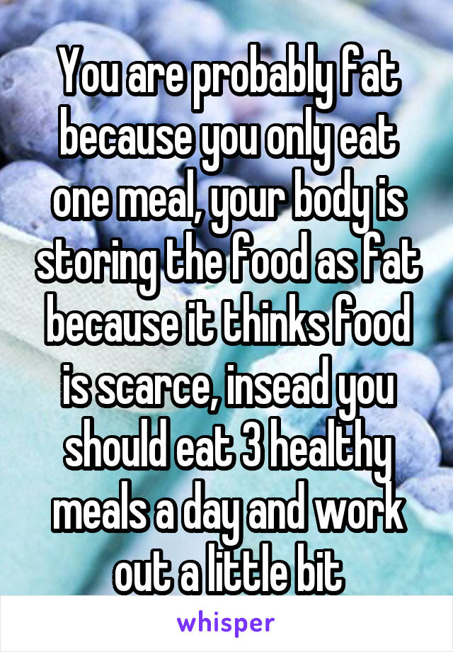 You are probably fat because you only eat one meal, your body is storing the food as fat because it thinks food is scarce, insead you should eat 3 healthy meals a day and work out a little bit