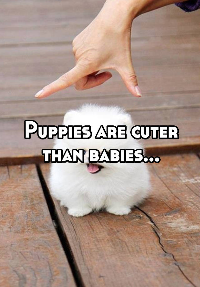 are puppies cuter than babies