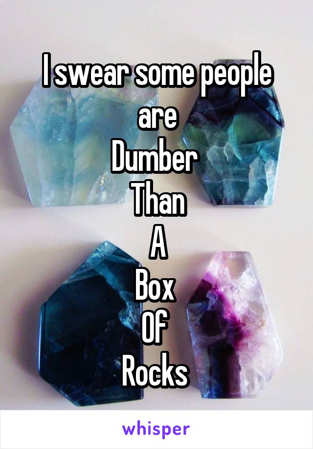 I swear some people are
Dumber 
Than
A
Box 
Of 
Rocks 