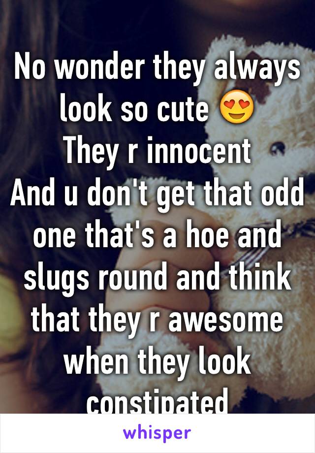 No wonder they always look so cute 😍
They r innocent 
And u don't get that odd one that's a hoe and slugs round and think that they r awesome when they look constipated 