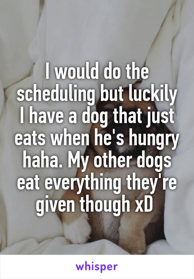 I would do the scheduling but luckily I have a dog that just eats when he's hungry haha. My other dogs eat everything they're given though xD 