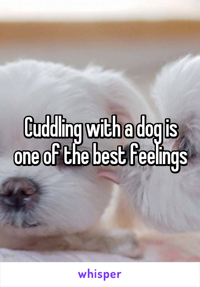 Cuddling with a dog is one of the best feelings