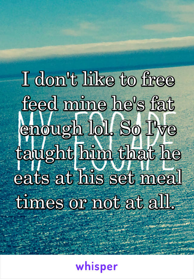 I don't like to free feed mine he's fat enough lol. So I've taught him that he eats at his set meal times or not at all. 