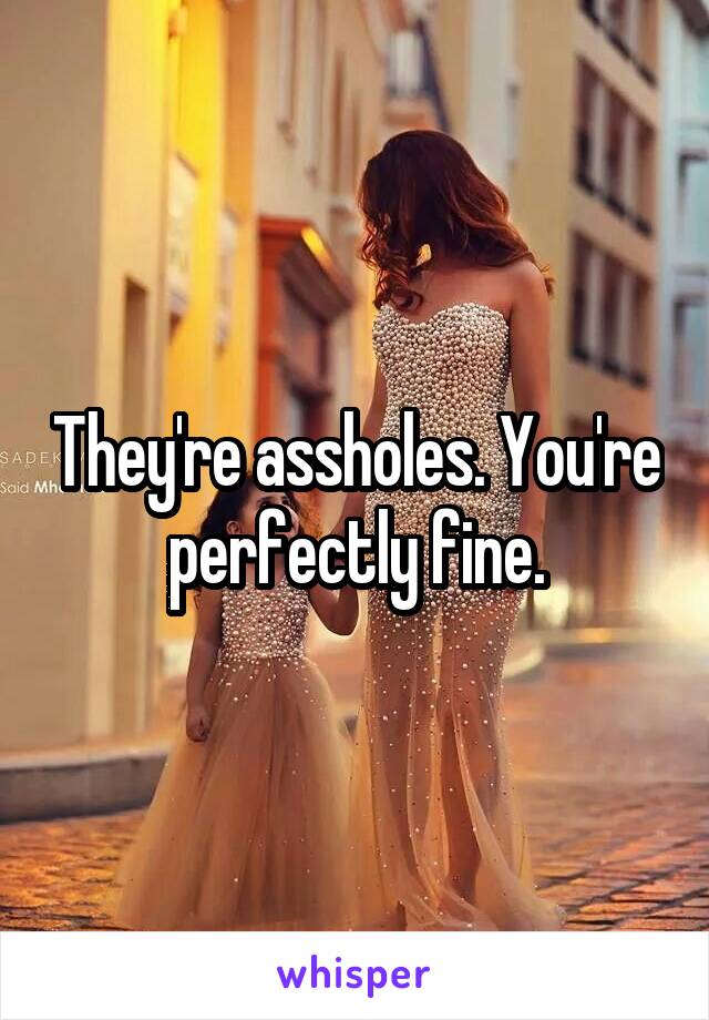 They're assholes. You're perfectly fine.