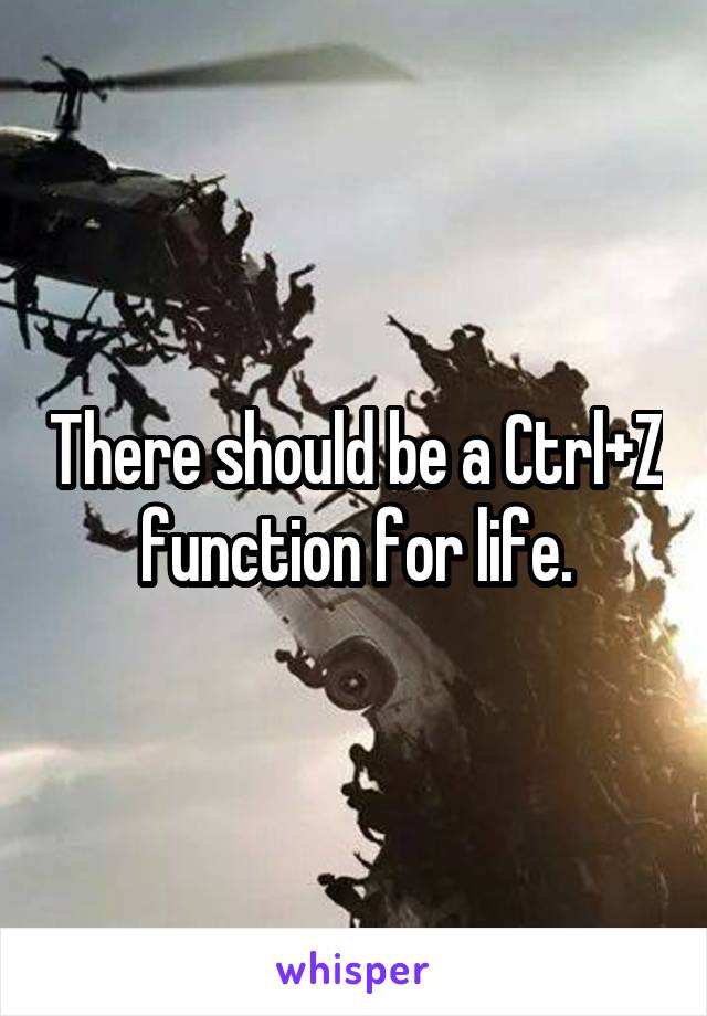 There should be a Ctrl+Z function for life.