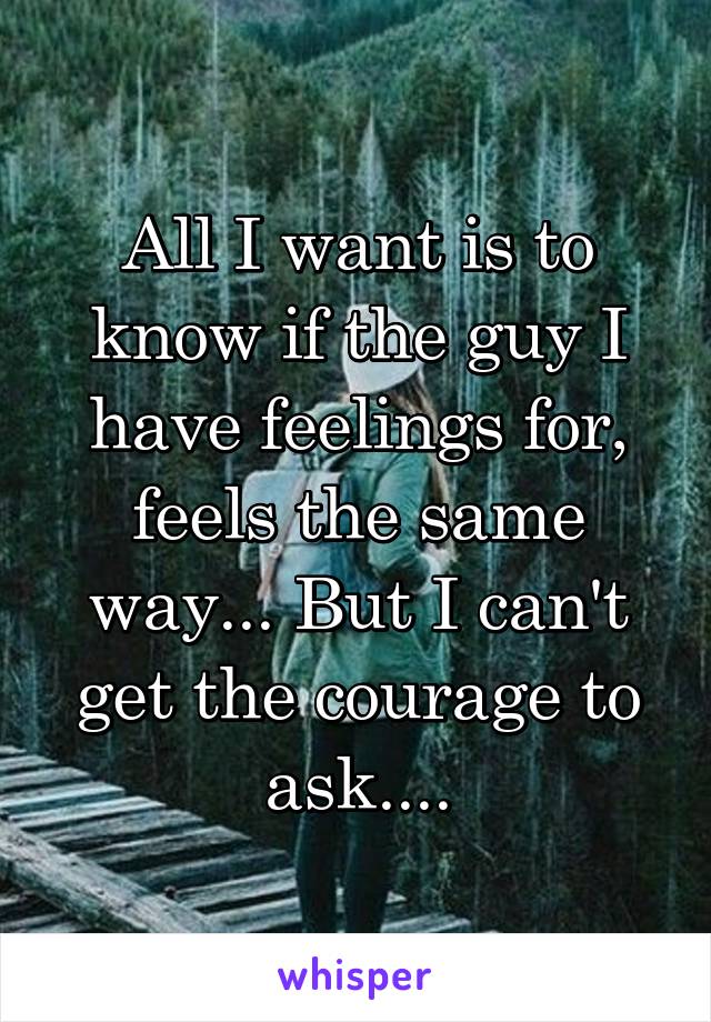 All I want is to know if the guy I have feelings for, feels the same way... But I can't get the courage to ask....