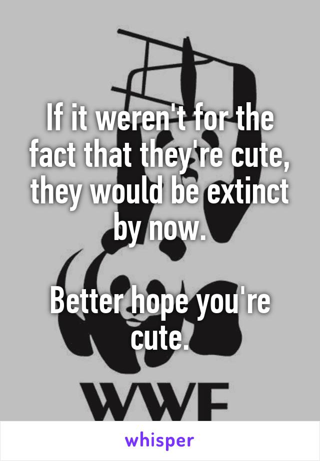 If it weren't for the fact that they're cute, they would be extinct by now.

Better hope you're cute.