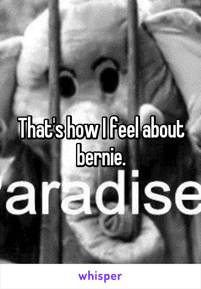 That's how I feel about bernie.