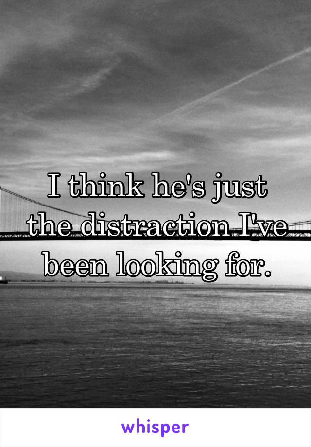 I think he's just the distraction I've been looking for.