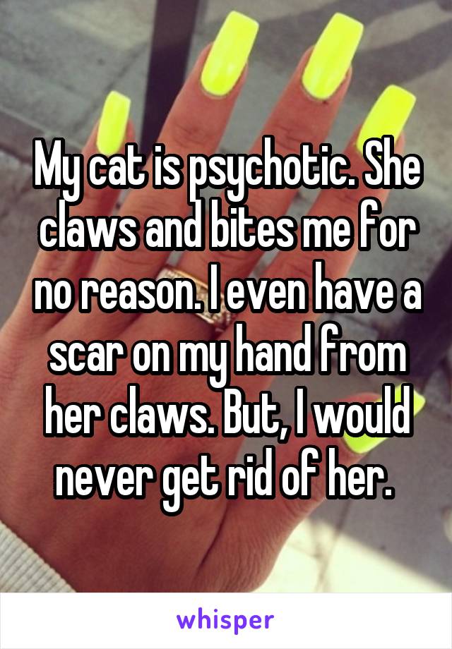 My cat is psychotic. She claws and bites me for no reason. I even have a scar on my hand from her claws. But, I would never get rid of her. 