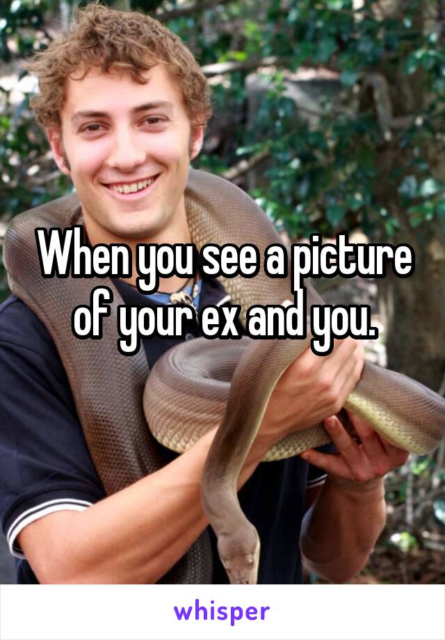 When you see a picture of your ex and you.
