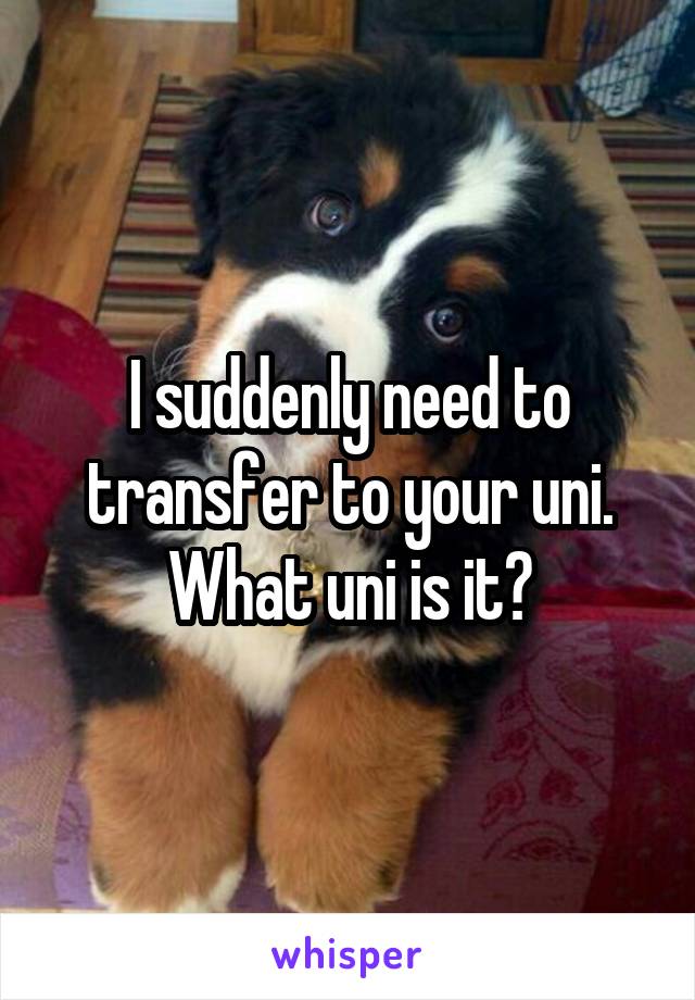 I suddenly need to transfer to your uni. What uni is it?