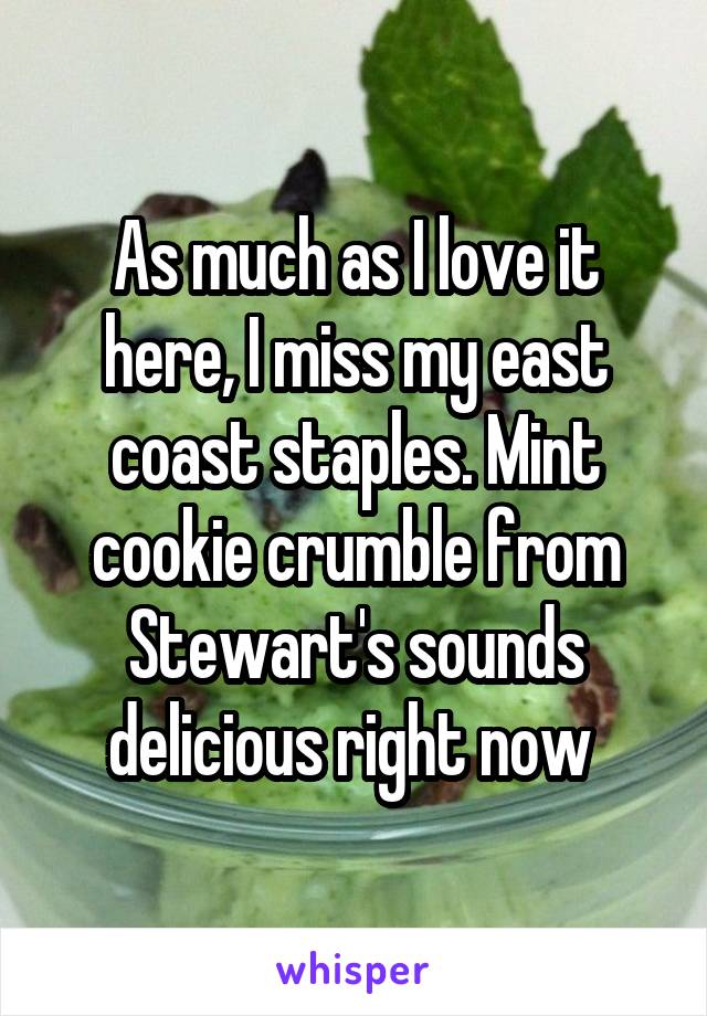 As much as I love it here, I miss my east coast staples. Mint cookie crumble from Stewart's sounds delicious right now 