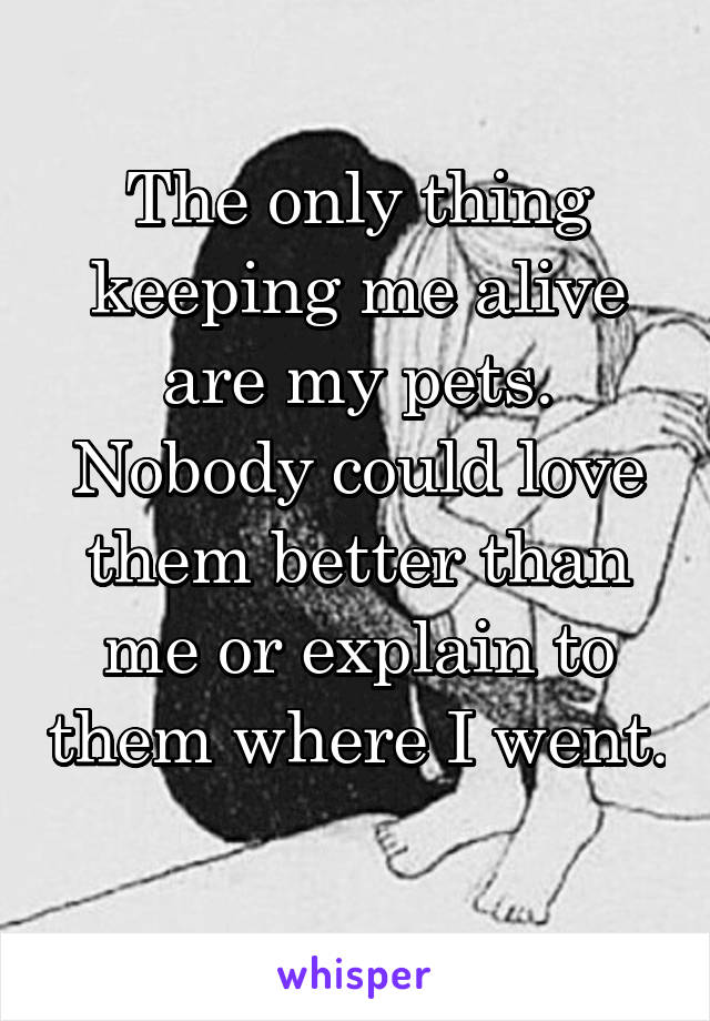 The only thing keeping me alive are my pets. Nobody could love them better than me or explain to them where I went. 