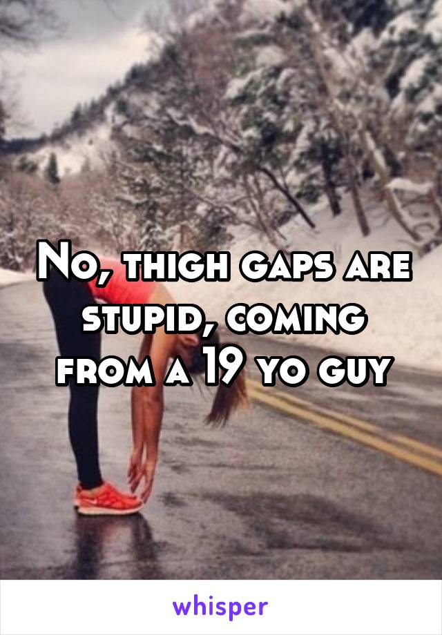 No, thigh gaps are stupid, coming from a 19 yo guy