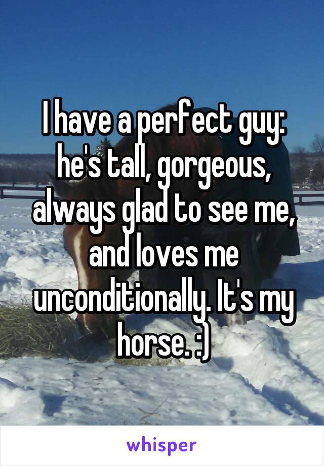 I have a perfect guy: he's tall, gorgeous, always glad to see me, and loves me unconditionally. It's my horse. :)