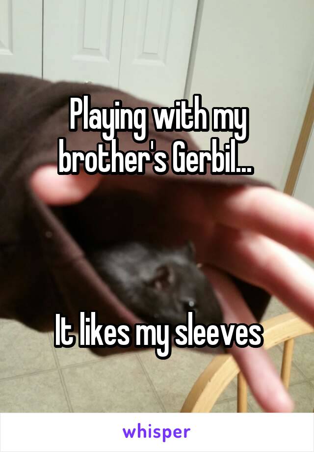 Playing with my brother's Gerbil... 



It likes my sleeves