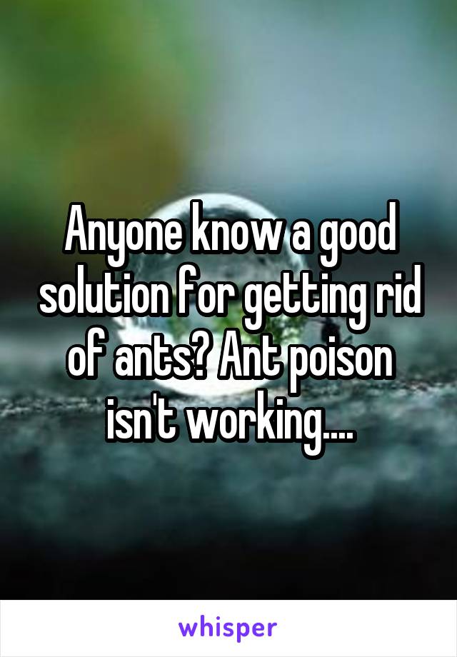 Anyone know a good solution for getting rid of ants? Ant poison isn't working....