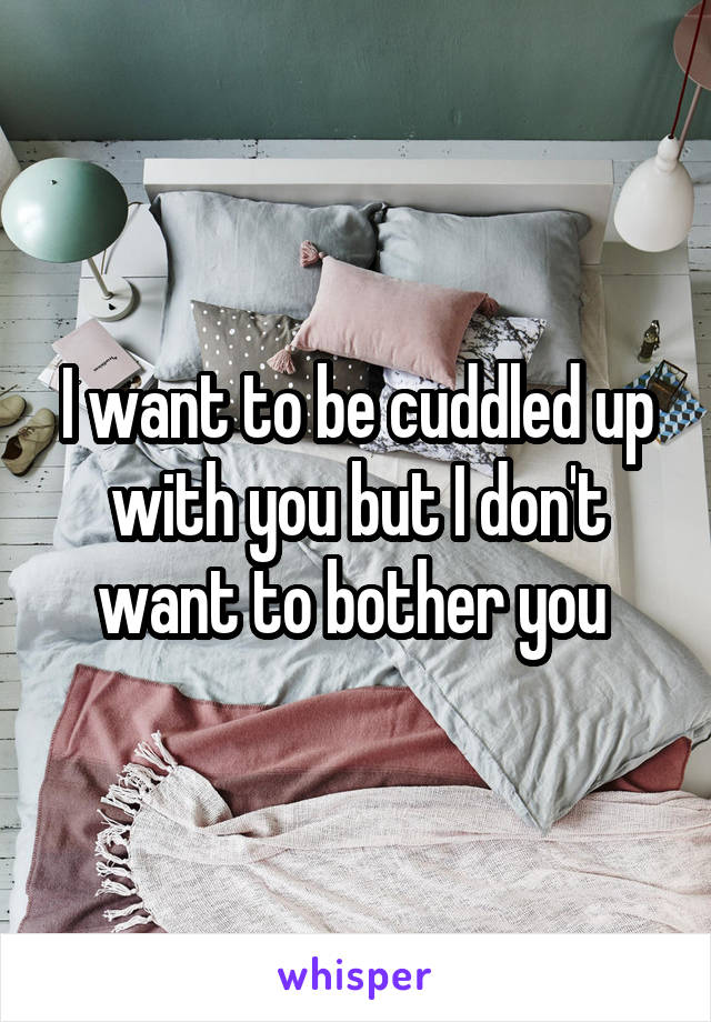 I want to be cuddled up with you but I don't want to bother you 