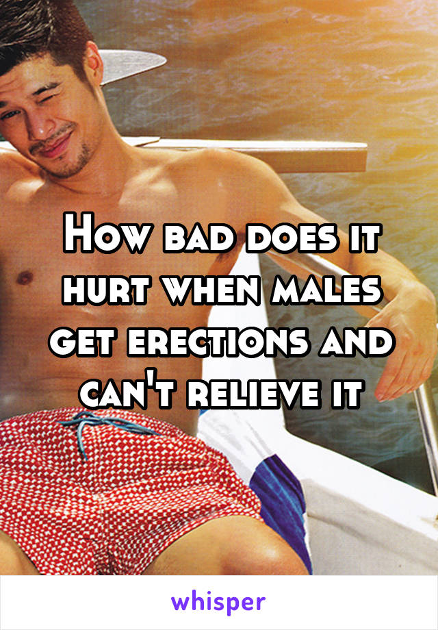 How bad does it hurt when males get erections and can't relieve it