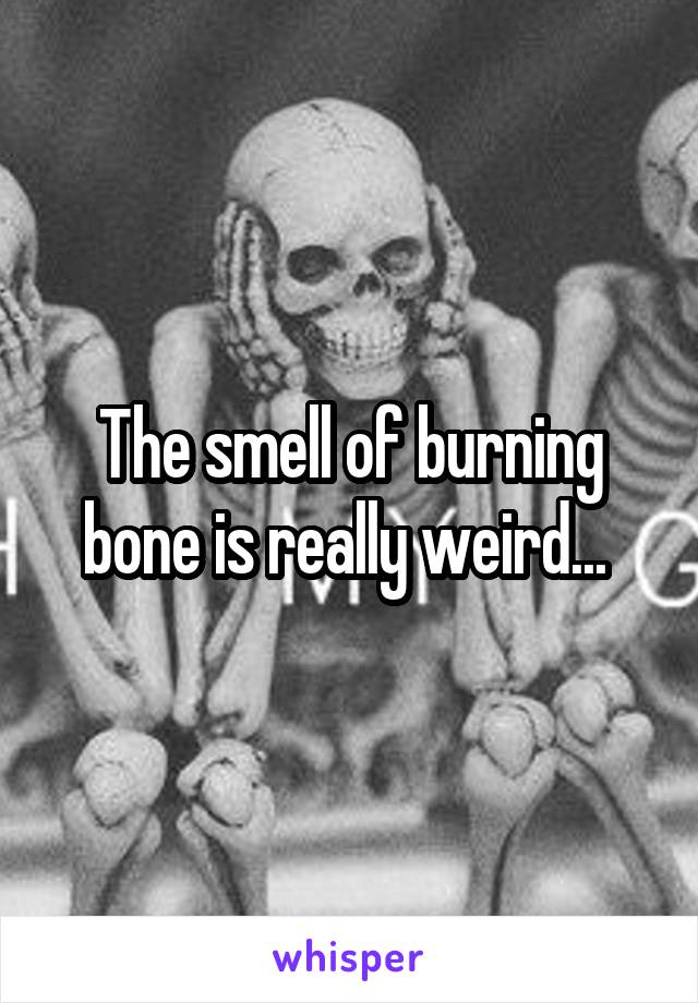 The smell of burning bone is really weird... 