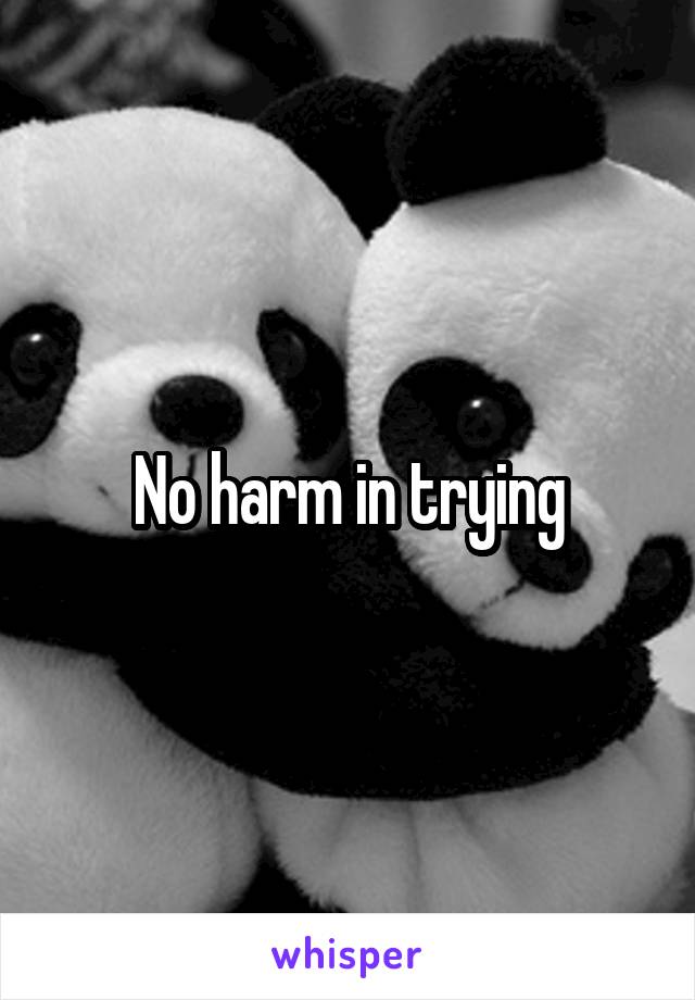 No harm in trying
