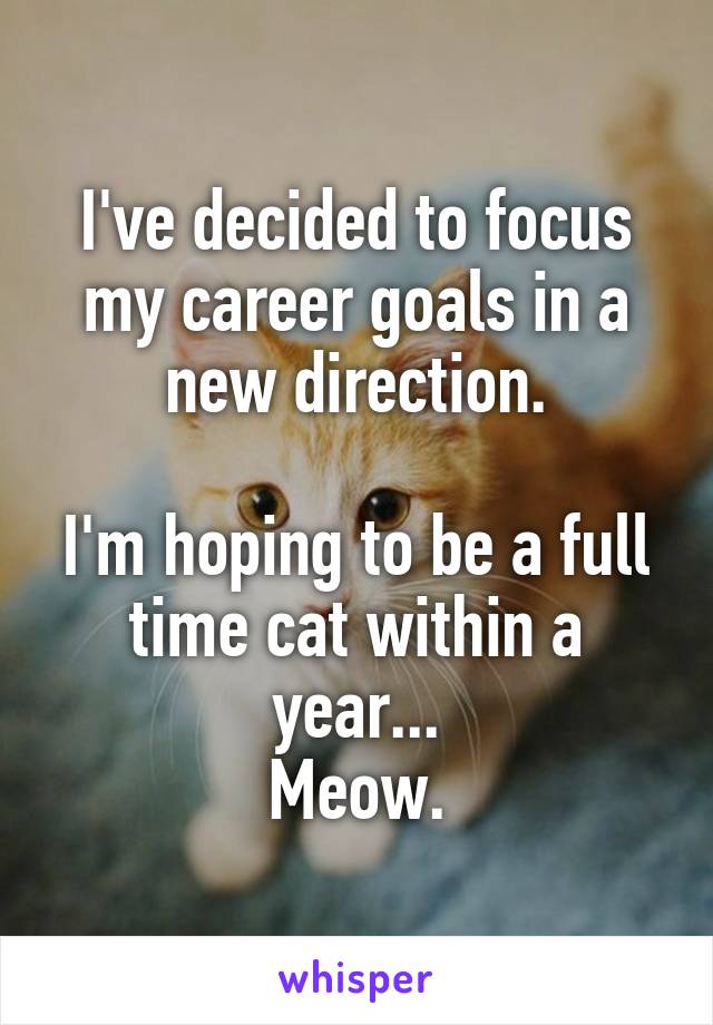 I've decided to focus my career goals in a new direction.

I'm hoping to be a full time cat within a year...
Meow.