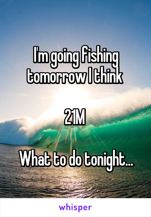 I'm going fishing tomorrow I think 

21M 

What to do tonight...