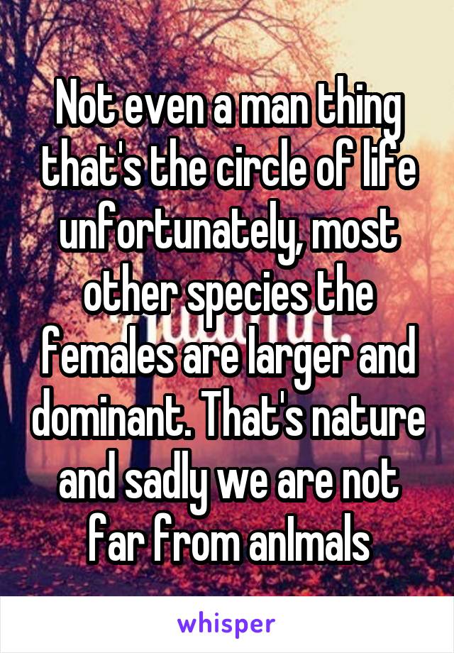 Not even a man thing that's the circle of life unfortunately, most other species the females are larger and dominant. That's nature and sadly we are not far from anImals