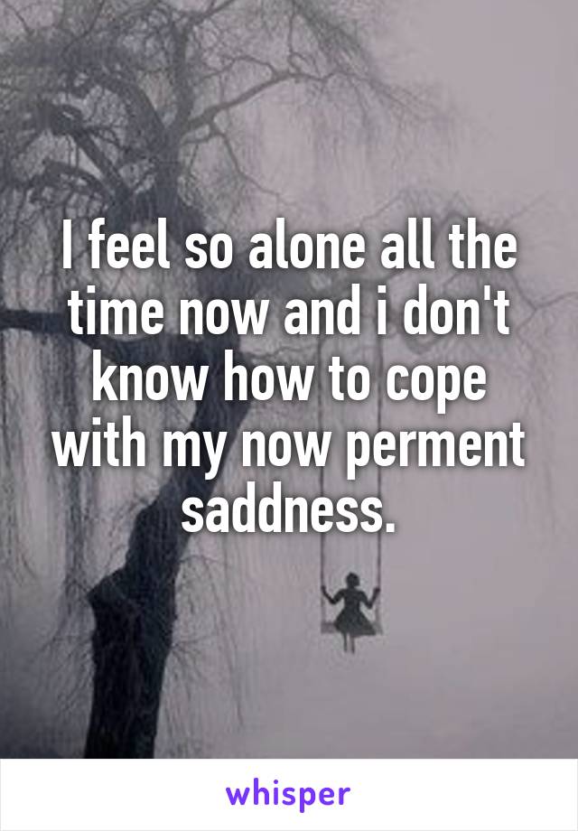 I feel so alone all the time now and i don't know how to cope with my now perment saddness.
