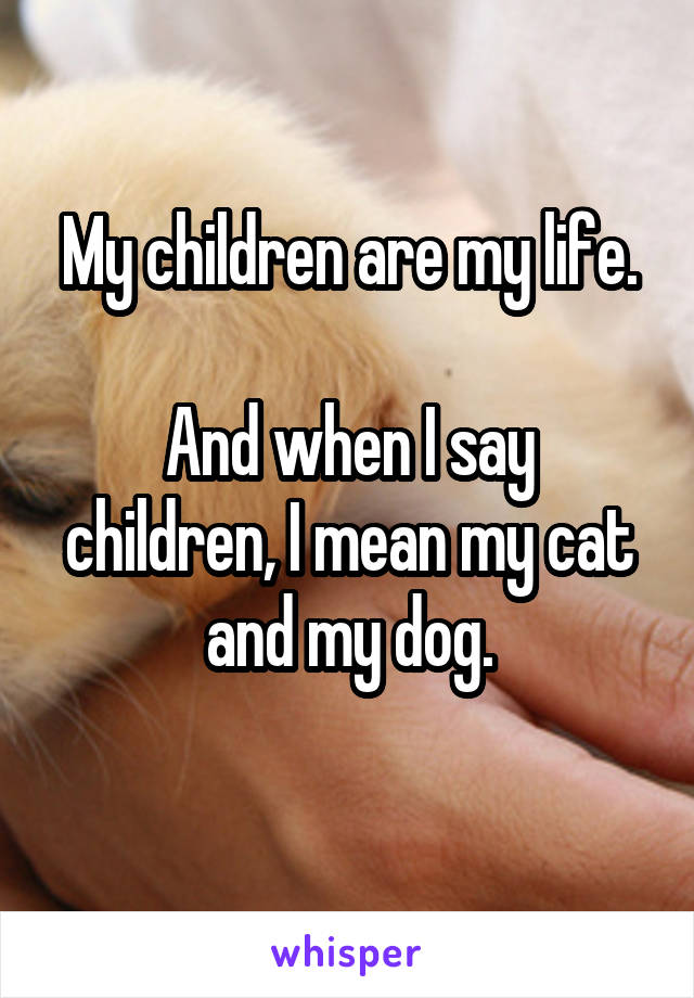 My children are my life.

And when I say children, I mean my cat and my dog.
