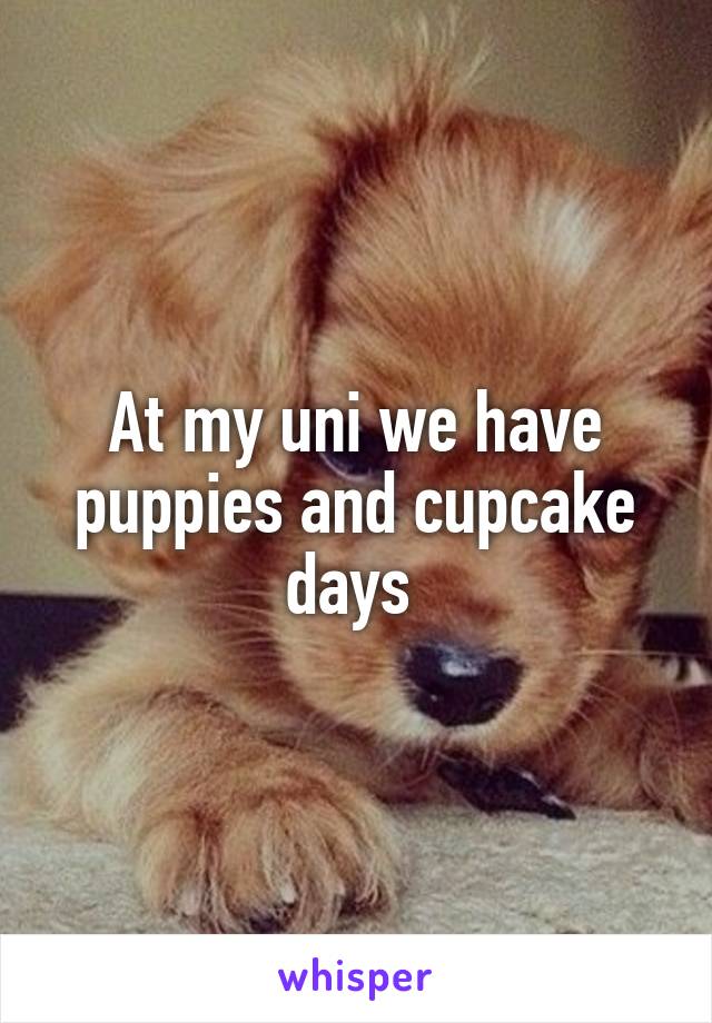 At my uni we have puppies and cupcake days 