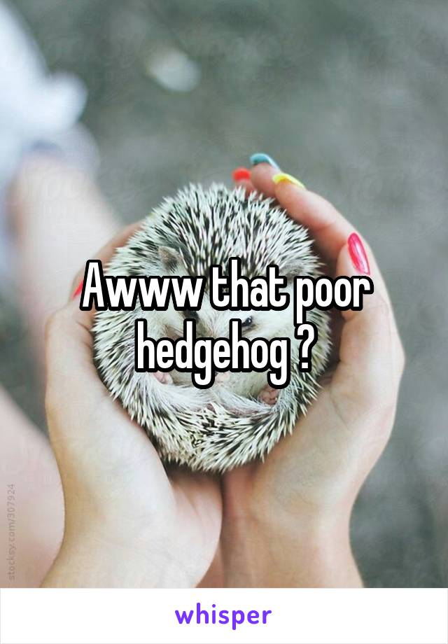 Awww that poor hedgehog 😫