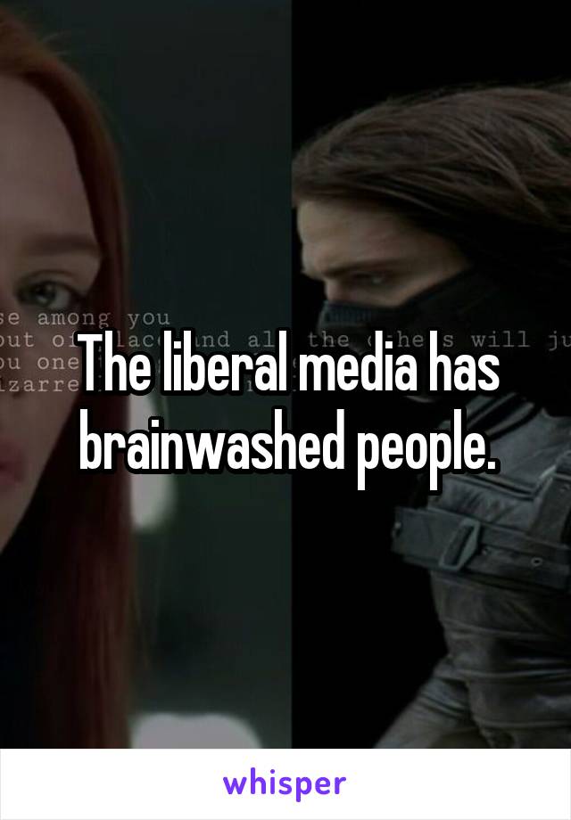 The liberal media has brainwashed people.