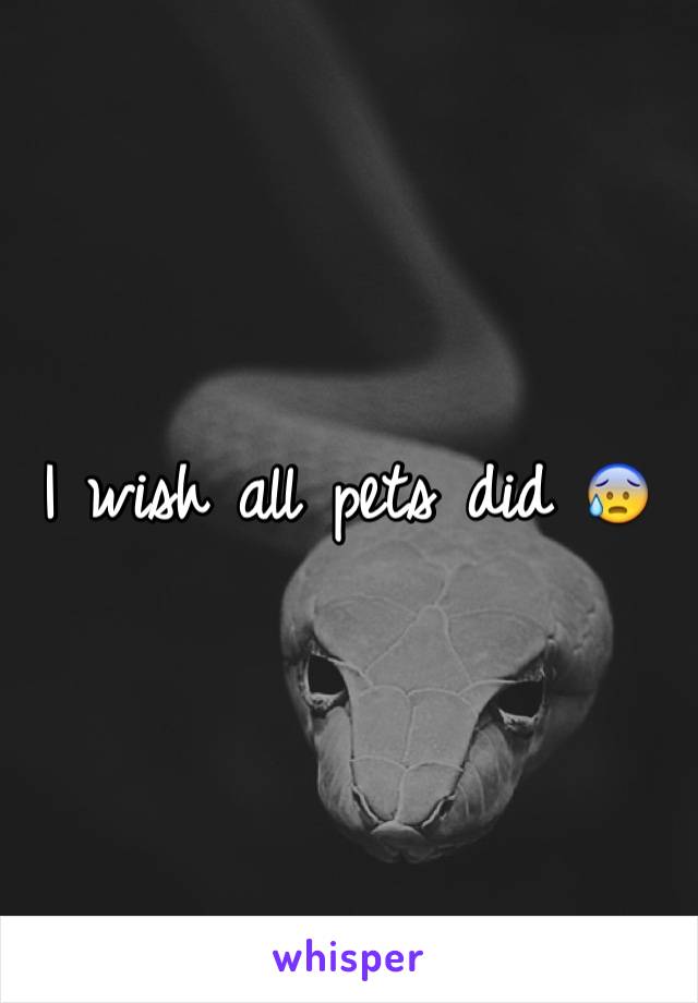 I wish all pets did 😰