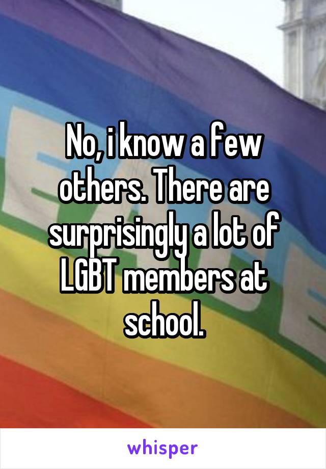 No, i know a few others. There are surprisingly a lot of LGBT members at school.