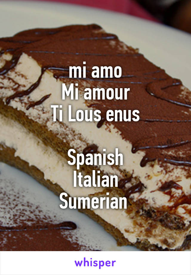 mi amo
Mi amour
Ti Lous enus

Spanish
Italian
Sumerian 