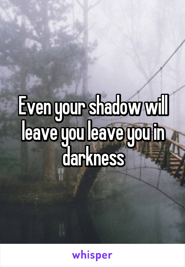 Even your shadow will leave you leave you in darkness