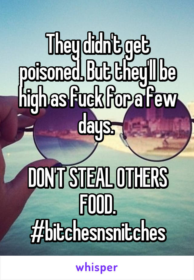 They didn't get poisoned. But they'll be high as fuck for a few days. 

DON'T STEAL OTHERS FOOD.
#bitchesnsnitches