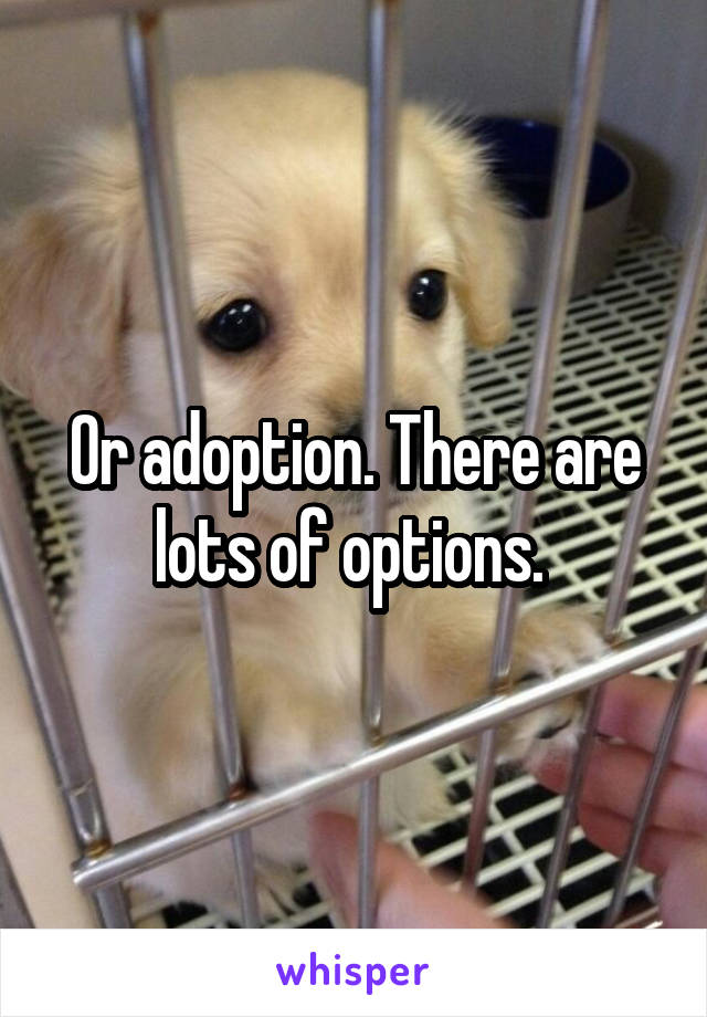 Or adoption. There are lots of options. 