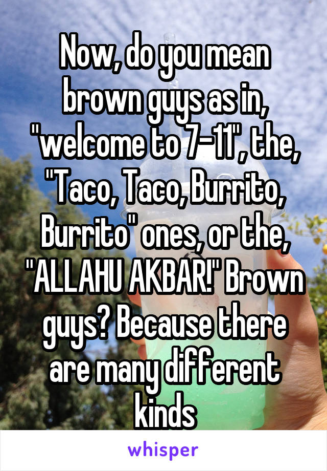 Now, do you mean brown guys as in, "welcome to 7-11", the, "Taco, Taco, Burrito, Burrito" ones, or the, "ALLAHU AKBAR!" Brown guys? Because there are many different kinds