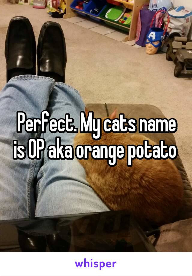 Perfect. My cats name is OP aka orange potato 