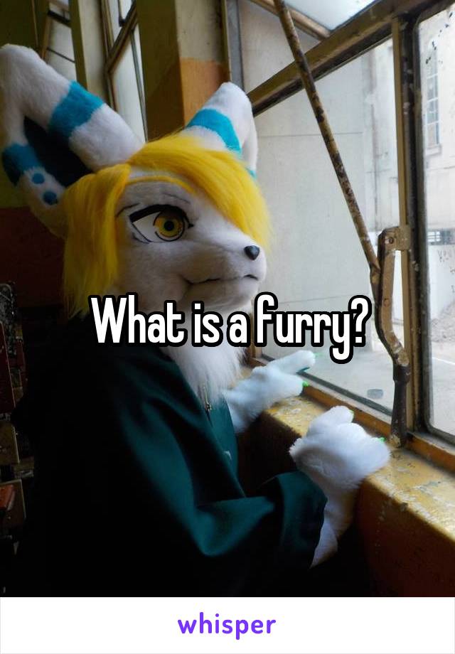 What is a furry?