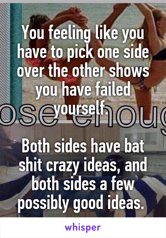 You feeling like you have to pick one side over the other shows you have failed yourself. 

Both sides have bat shit crazy ideas, and both sides a few possibly good ideas. 