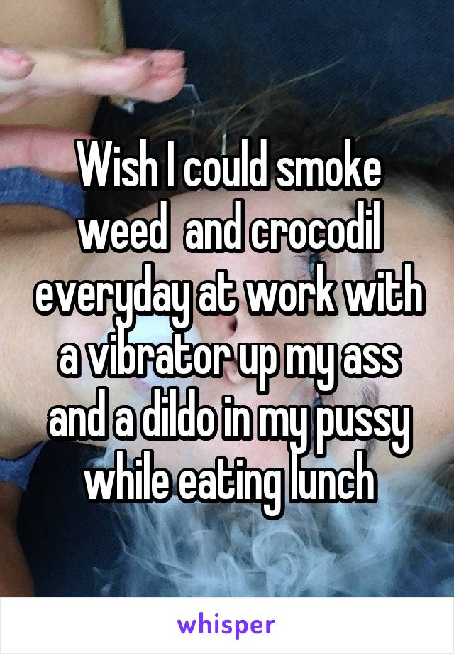 Wish I could smoke weed  and crocodil everyday at work with a vibrator up my ass and a dildo in my pussy while eating lunch