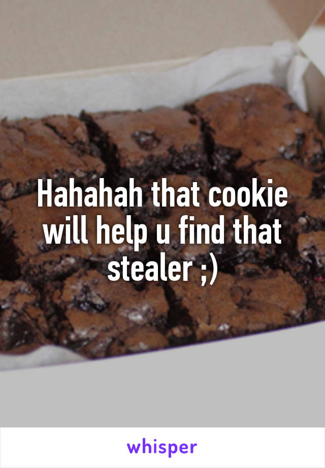 Hahahah that cookie will help u find that stealer ;)